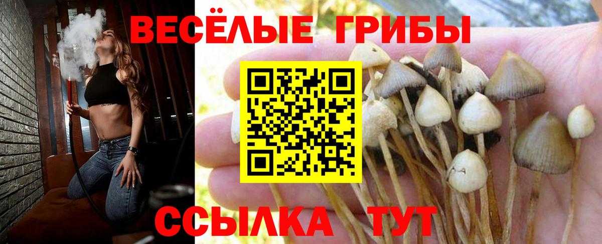 Торжок  где продают   Вход с VPN  Галлюциногенные грибы мухоморы 